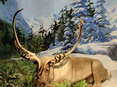 -陕西自然博物馆