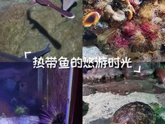 -郑州海洋馆