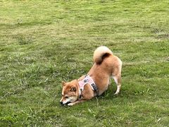 -钟山体育运动公园