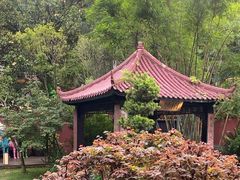 -翠园十八号庭院餐厅