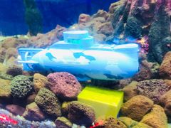 -MOJO密室逃脱(中街旗舰店)