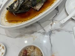 -欢乐海岸美食联盟