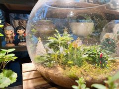-自由生长植物工作室(深港花卉中心店)