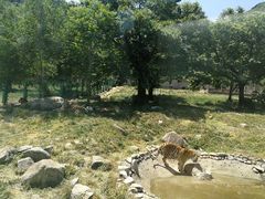 -西安秦岭野生动物园