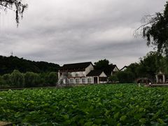 -鲁镇