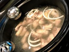 -东椰·海南椰子鸡火锅(朝阳门店)