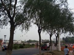 -丁香湖公园