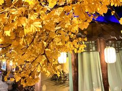 -淀里船宴(裕华东路店)