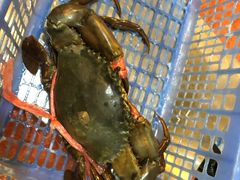 -大螃蟹海鲜餐厅