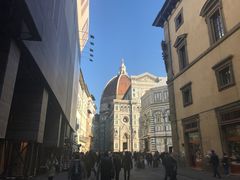 -圣母百花大教堂穹顶