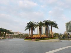 -宝安西湾红树林湿地公园