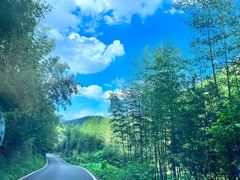 -莫干山风景区