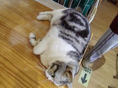 -小时光咖啡馆(开森度假森林店)