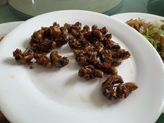 -蒙阴县光棍鸡店(蒙山店)