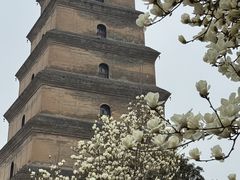 -大慈恩寺(大雁塔)