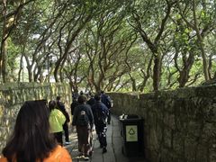 -普陀山慧济禅寺