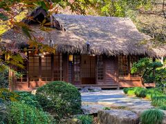 -中国茶叶博物馆(双峰馆区)