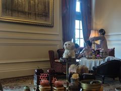 -Salon de Ville浦江汇(上海外滩华尔道夫酒店店)