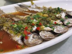-阿巧一号私房菜(止园路店)