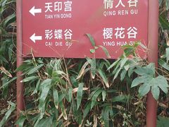 -南京市江宁方山