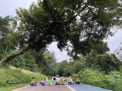 -宾果蒙特梭利托育儿童之家幼儿园(爱琴海店)