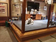-大江户·温泉洗浴(浑南店)