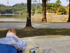 -深圳仙湖植物园