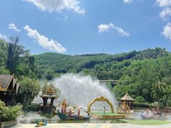 -西双版纳原始森林公园