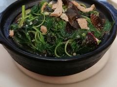 -新泉小傅美食(国贸天琴湾天境店)