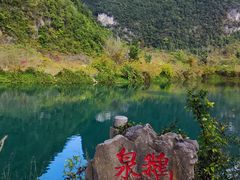 -靖西鹅泉风景区