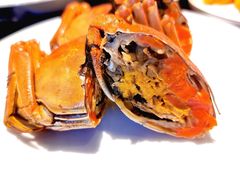 -甄御•海鲜新青岛菜(麦岛店)