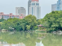 -西湖公园(鼓楼区)