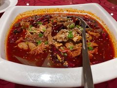 山城毛血旺-金鼎轩(亚运村店)