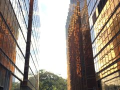 -香港皇家太平洋酒店