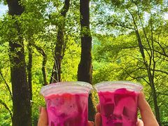 -巴倒烫陆派重庆火锅(南山店)
