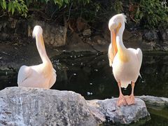 -昆明动物园