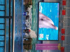 -多彩贵州城极地海洋世界