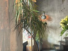 -Apollo·西班牙小酒馆(安福路店)