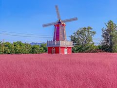 -羊亭河湿地公园