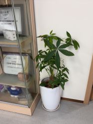 -上海伊莱美医疗美容医院