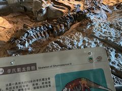 -自贡恐龙博物馆