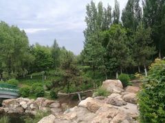 -莫子山公园