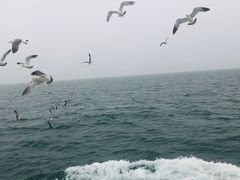 -海驴岛(荣成市)