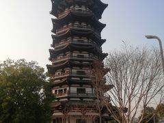 -洋湖国家湿地公园