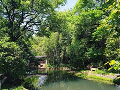 -八大山人梅湖景区