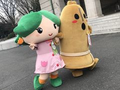 -东京国立博物馆