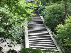 -虎跑公园