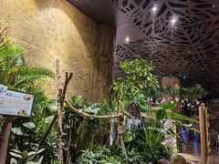 -杭州开元森泊度假乐园