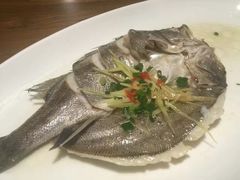 -新白鹿餐厅(龙游路总店·杭帮菜名店)