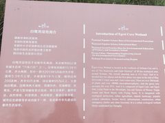 -白鹭湾湿地公园